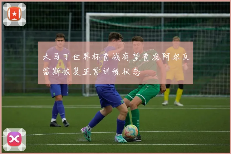 大马丁世界杯首战有望首发阿尔瓦雷斯恢复正常训练状态