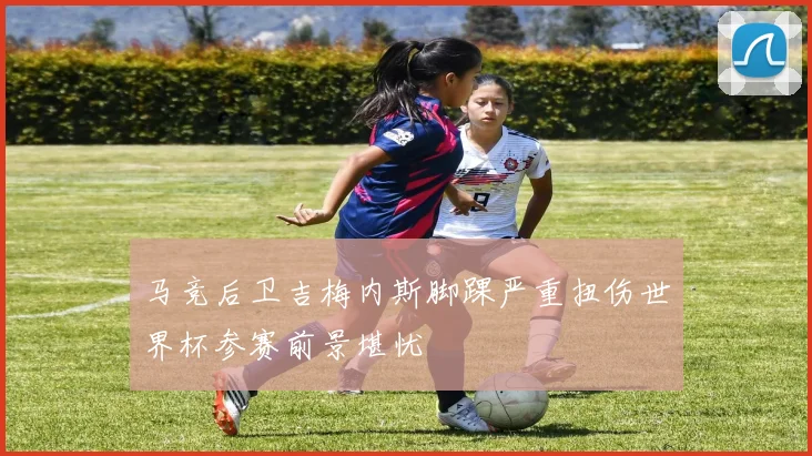 马竞后卫吉梅内斯脚踝严重扭伤世界杯参赛前景堪忧