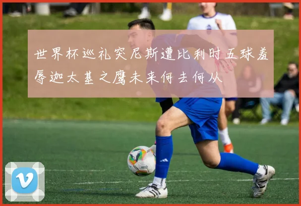 世界杯巡礼突尼斯遭比利时五球羞辱迦太基之鹰未来何去何从
