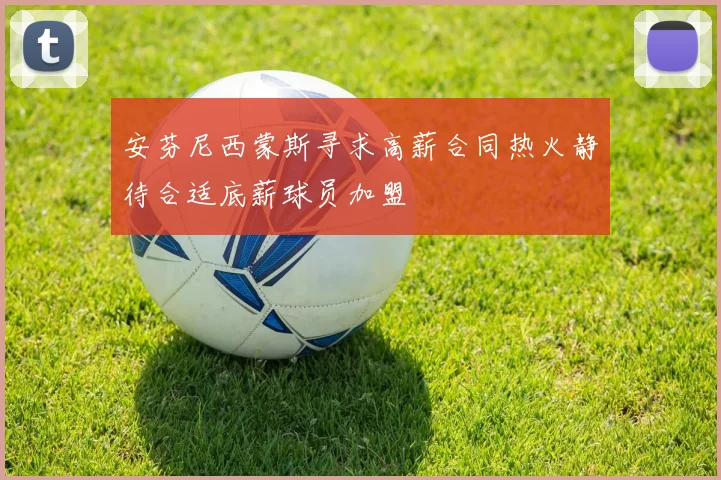 安芬尼西蒙斯寻求高薪合同热火静待合适底薪球员加盟