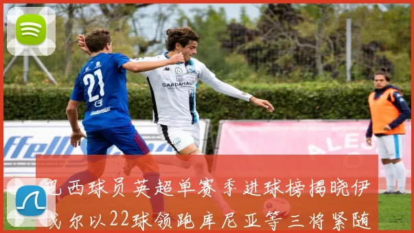 巴西球员英超单赛季进球榜揭晓伊戈尔以22球领跑库尼亚等三将紧随其后